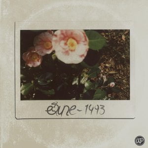 Puffin Lyrics By Emune