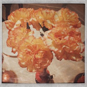 Centerpiece