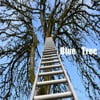 Blue Tree