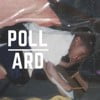 Pollard