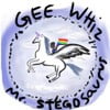 Gee Whiz Mr. Stegosaurus!