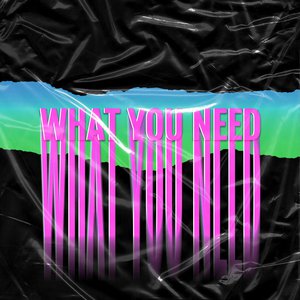 What You Need