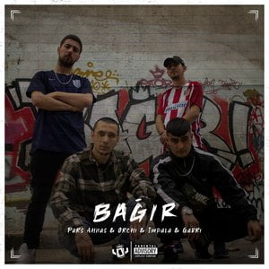 Bağır