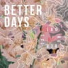 Better Days