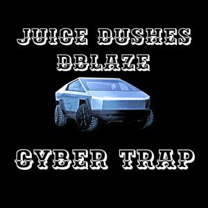 Cyber Trap