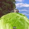 Lettuce