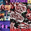 Dead Rose
