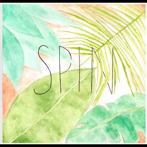 Spin