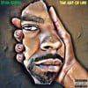 Art of Life