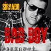Bad Boy (feat. Alibi Montana)