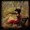 Evermore Darkly