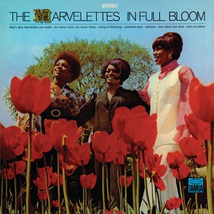 In Full Bloom In Full Bloom