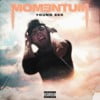 Momentum