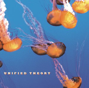 Unified Theory