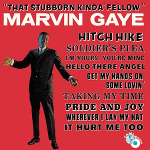 That Stubborn Kinda' Fellow