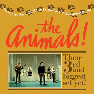 It S My Life Lyrics By The Animals