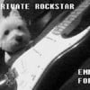 Private Rockstar