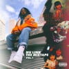 Nu Linh the Mixtape, Vol. 1