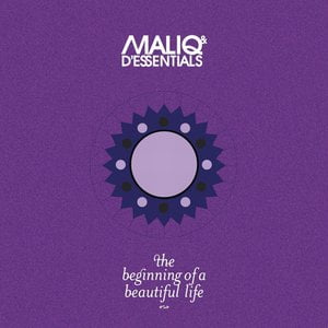 The Beginning Of A Beautiful Life
