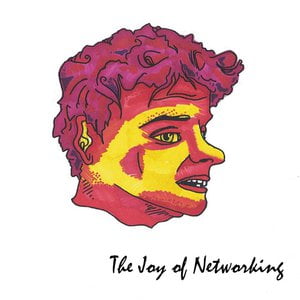 The Joy of Networking