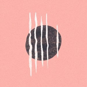 Paper Tiger