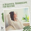 A Beautiful Soundscape for Resting