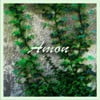 Amon