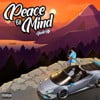 Peace of Mind
