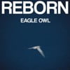 Reborn