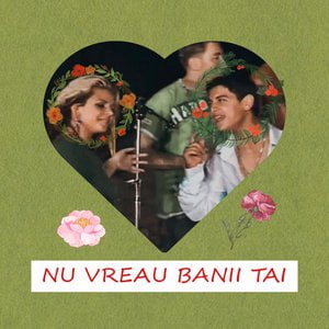 Nu Vreau Banii Tai