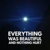 Everything Was Beautiful and Nothing Hurt