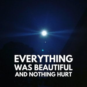 Everything Was Beautiful and Nothing Hurt