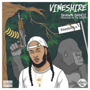 Vineshire