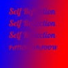 Self Reflection