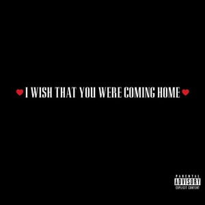 I Wish That You Were Coming Home