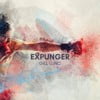 Expunger