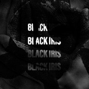 Black Iris