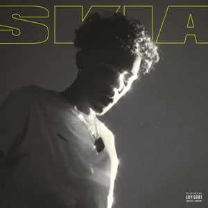 S.K.I.A.