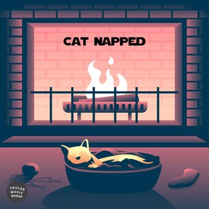 Cat Napped