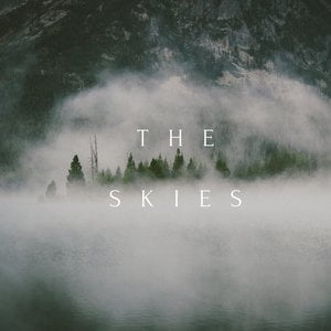 The skies