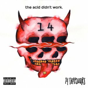 The Acid Didn't Work