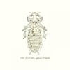 THE LOUSE