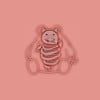 PIG BELLY