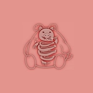 PIG BELLY