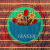 Veneers