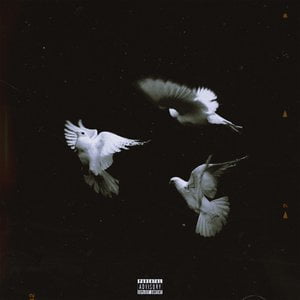 Multiple Flows I