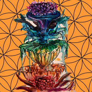 Bloom