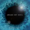 Awake My Soul