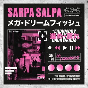 Forwards Backwards