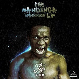The Mandinga Warrior